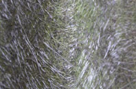 Birdston fibreglass roof work