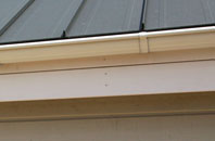 Birdston soffit repair
